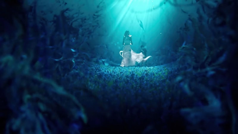 Lunafreya Nox Fleuret, Final Fantasy, Final Fantasy XV, Noctis Lucis Caelum, 1080P