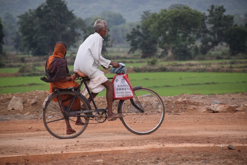 adult, transportation, women, old couple, full length, tree, people, Bicycle, two people, color Image, land vehicle, outdoors, rear view, Road, togetherness