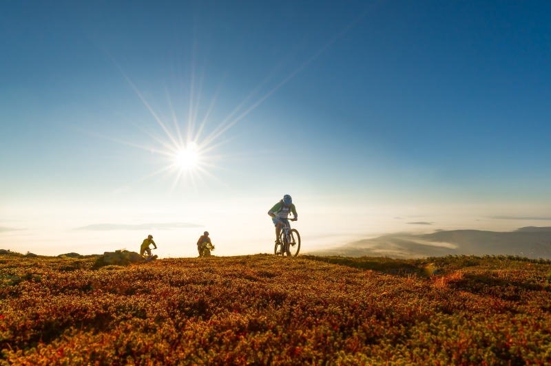 healthy Lifestyle, extreme Sports, grass, adventure, three, Trysil, outdoors, arena, bicycle, mountain, riding, sunset, men, action, sommer, sky, nature