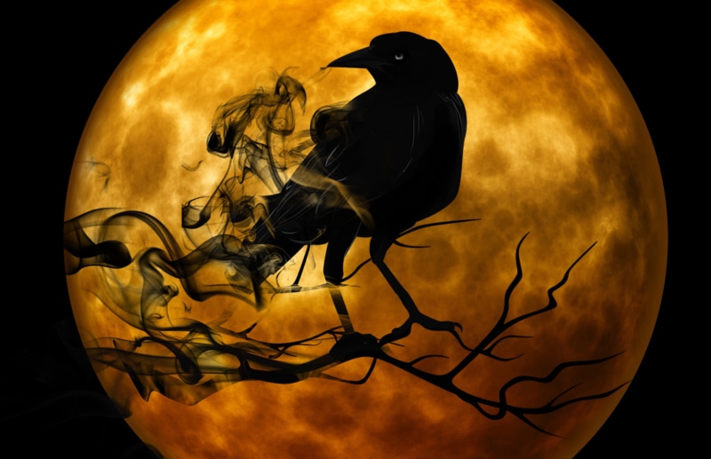 outdoors, animal themes, no people, vertebrate, sky, silhouette, front, cloud - sky, digital composite, dark, Crow, globe, illustration, Branch, horror