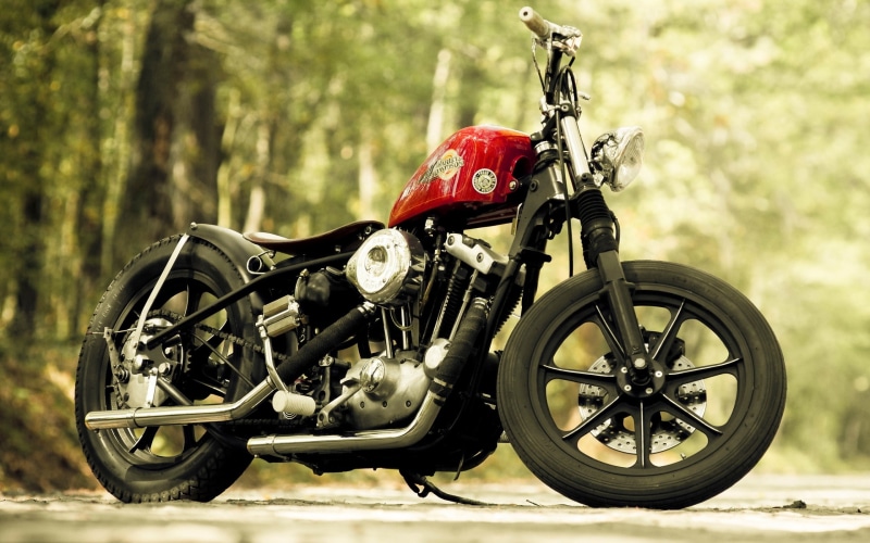 land vehicle, headwear, tree, outdoors, nature, road, no people, cruiser, day, land, motorcycle racing, sports helmet, mode of transportation, plant, Harley Davidson