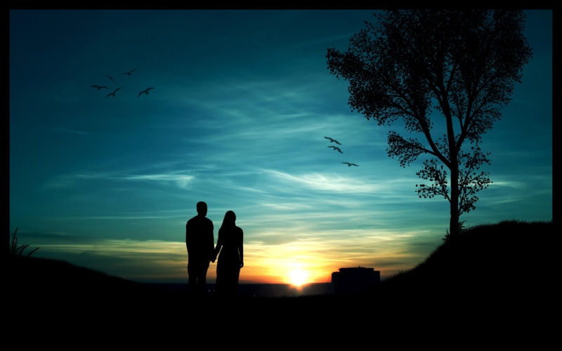 couple, sunset, nature and landscapes, birds, romantic, enjoy, tree, 2K