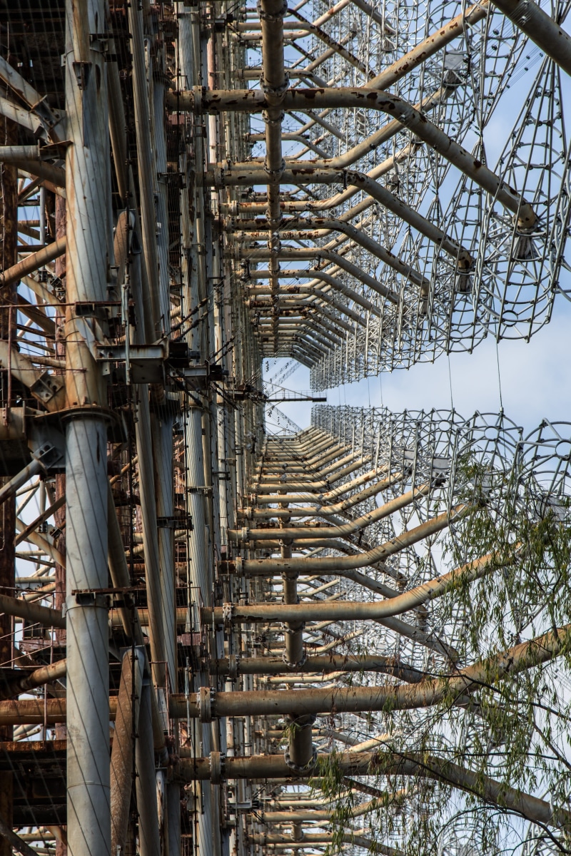 tall - high, infested, building, day, radioactive, pripyat, tree, disaster, urban explorer, tree trunk, lost place, outdoors, ukraine, chernobyl, growth