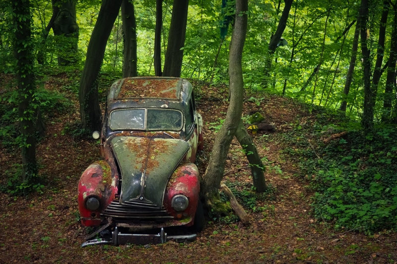 graffiti, car, leave, dirty, damaged, neglected, nostalgia, car wreck, memory, no people, land vehicle, vehicle, turned off, decay, nature, red, over, bmw 340
