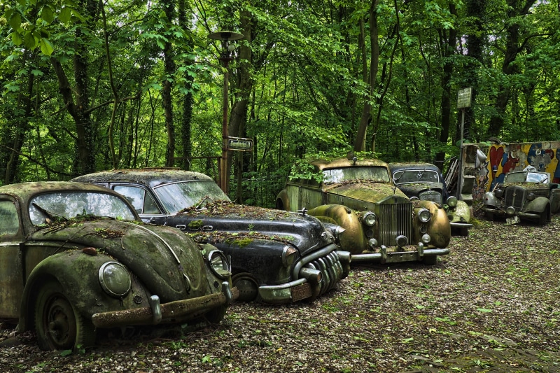 plant, abandoned, mercedes benz type 170 v, car wreck, car, oldtimer, car cemetery, decline, ifa f8, lost places, damaged, parked, tree, turned off, memory
