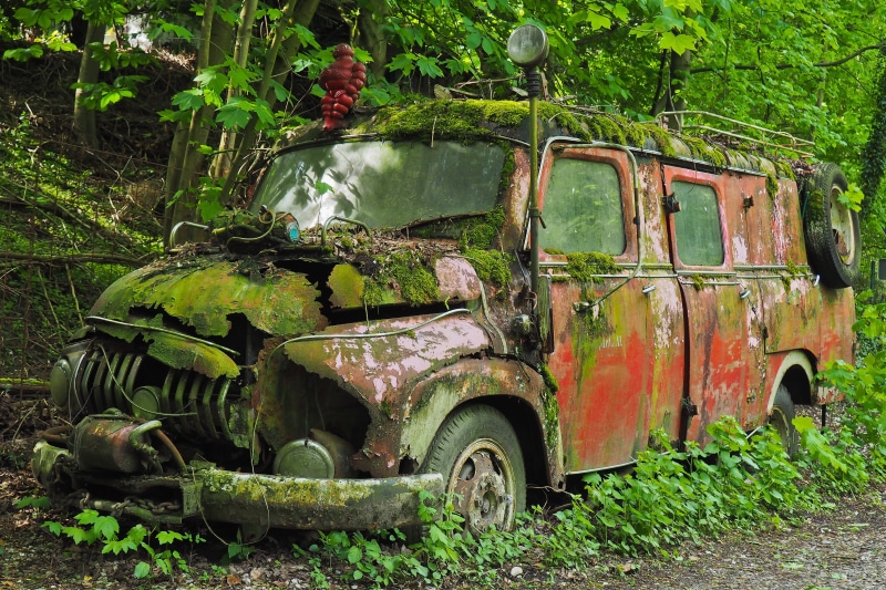 nature, red, lost places, tree, wheel, day, old cars, pforphoto, history, stainless, car, retired, over, old, stainless karre, oldtimer, abandoned, transportation