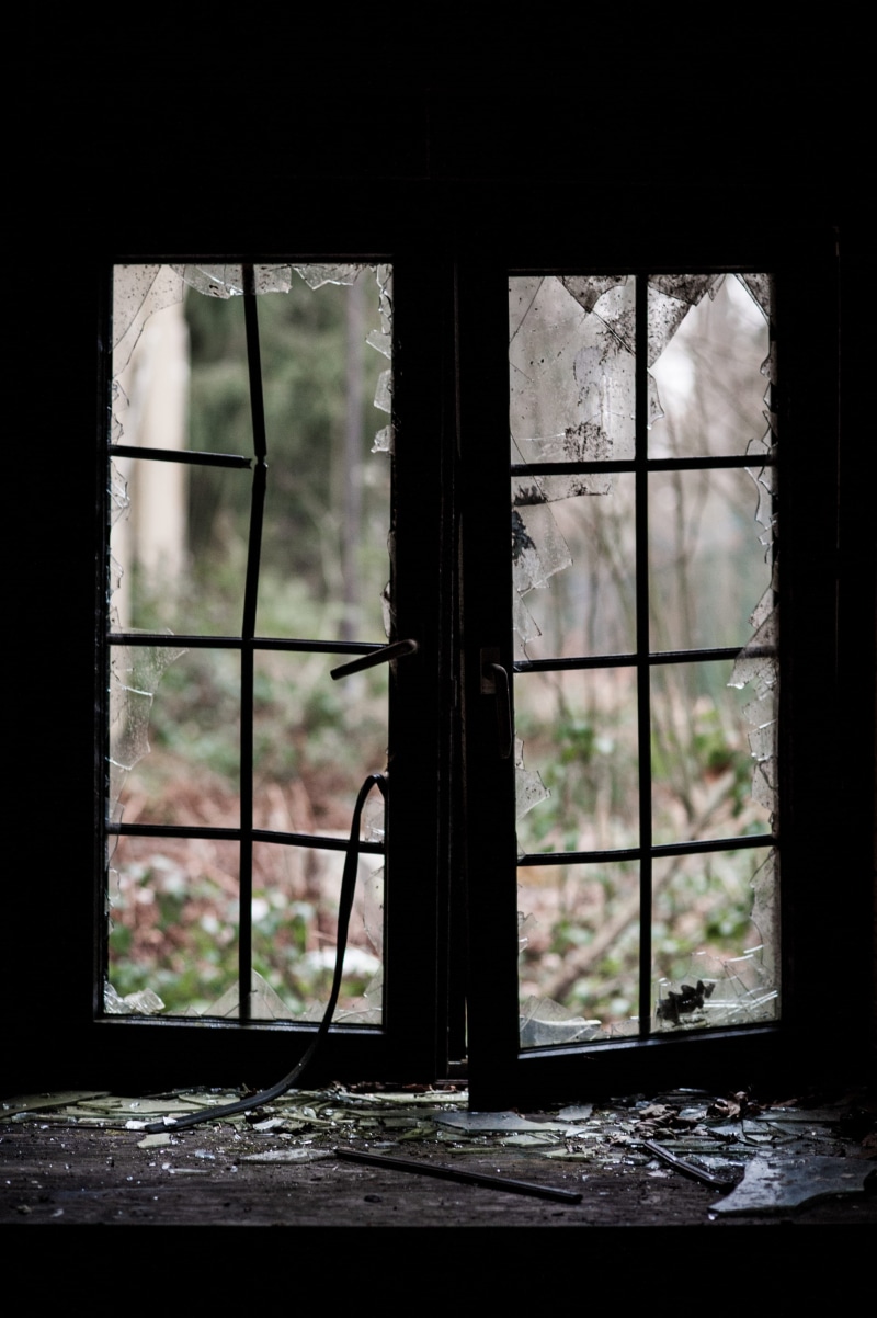 old, abies, window frame, tree, girl, abandoned, broken, deterioration, window, ruined, outdoors, 4K, child, teen, obsolete, indoors, run-down, fir, sad