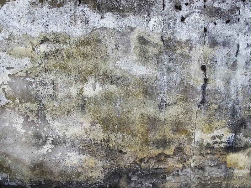 pforphoto, rough, day, run-down, run down, close-up, old, aging, grunge stained, deterioration, wall, patina, crack, damaged, built structure, vintage