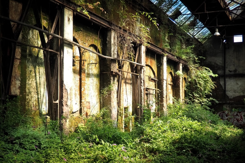 4K, dirt, graffiti, day, forget, mood, ruined, dilapidated, run down, nature, hall, transient, lost places, industrial plant, gloomy, weathered, building