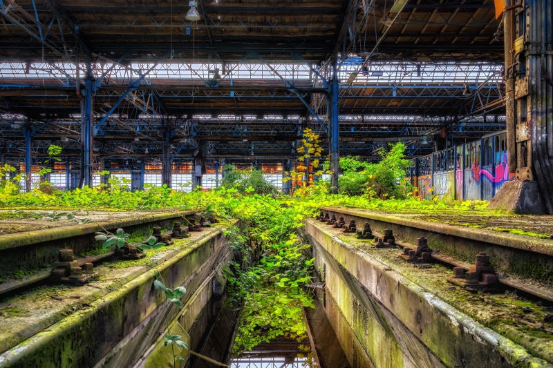 lost places, plants, transportation, warehouse, abandoned, railroad track, built structure, nature, mode of transportation, repair, inside, architecture