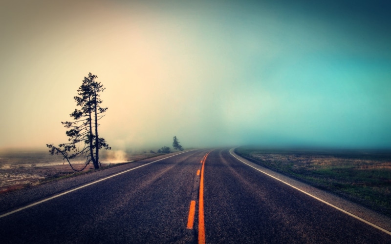 fog, plant, nature, mist, no people, dividing line, tree, diminishing perspective, symbol, asphalt, outdoors, transportation, beauty in nature, road marking