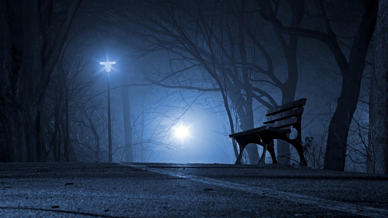moonlight, tree, sky, street light, darkness, road, bench, 4K, light, night, street