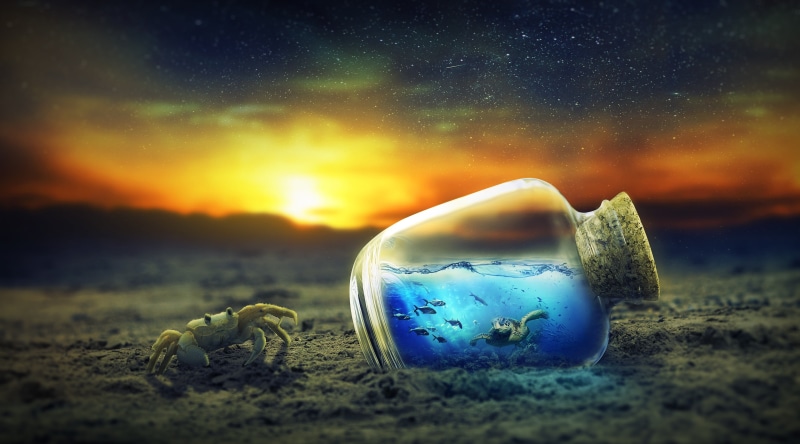 sunset, surreal, star - space, white, photomanipulation, transparent, selective focus, Stars, 4K, Fantasy, crustacean, night, gray, close-up, sphere, Design