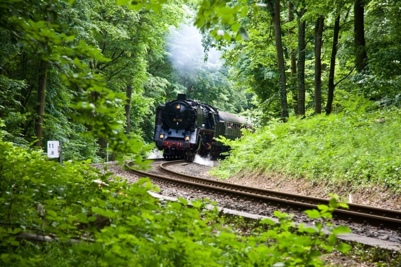 tree, tracks, 1080P, railroad Track, rail, transport, green color, railroad, mode of transportation, transportation, day, outdoors, steam locomotive, train - vehicle