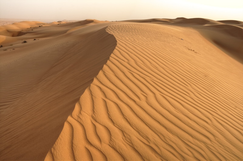 gold, dramatic, sand, düne, dromedary, lumière, couleur, scenics, Jelly, مان, sable, africa, Sharqiya, désert, suv, fantastic, outdoors, light, atmosphere