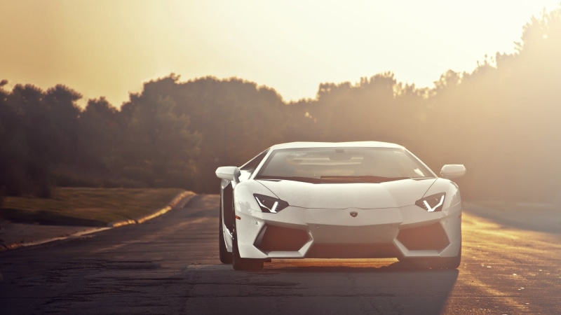 road, plant, car, the way forward, sky, mode of transportation, sunlight, city, vehicle, white, Lamborghini Aventador, luxury, nature, street, outdoors