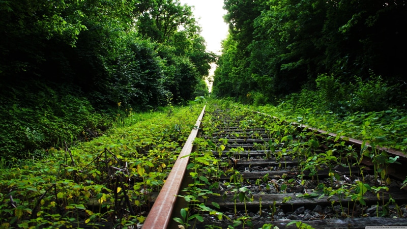 abandoned, brown, diminishing perspective, tranquility, the way forward, rail, railway, no people, lush foliage, foliage, rail transportation, day, 4K
