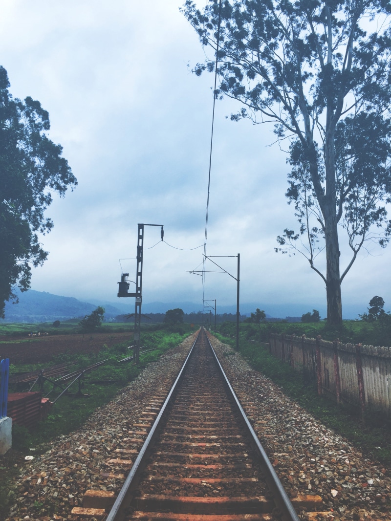 scenics - nature, plant, direction, the way forward, rail, no people, railways, day, railroad track, rail transportation, land, sky, train, track, rail road