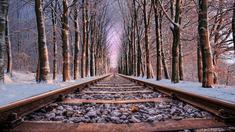 winter, vanishing point, treelined, no people, beauty in nature, railroad, non-urban scene, straight, woodland, woods, rail transportation, track, snow