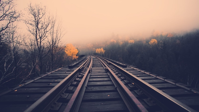 bare tree, railroad Track, diminishing perspective, direction, rail transportation, the way forward, landscape, trees, outdoors, red, train, vanishing point