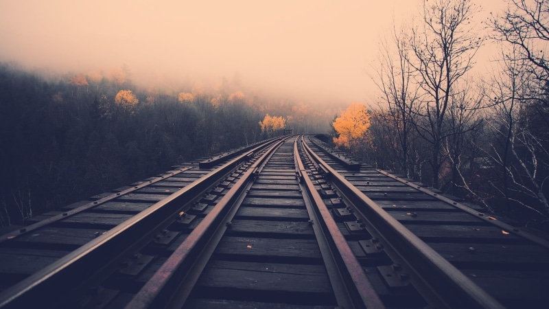 diminishing Perspective, fog, station, nature, railway, direction, plant, speed, the way forward, steel, traffic, parallel, sky, rail, iron - Metal, road