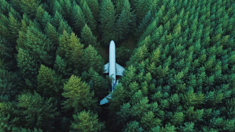 land, high angle view, green, white, technology, growth, aerial view, lush foliage, aircraft, wreck, pine trees, sky, blue, clothing, foliage, surrounded