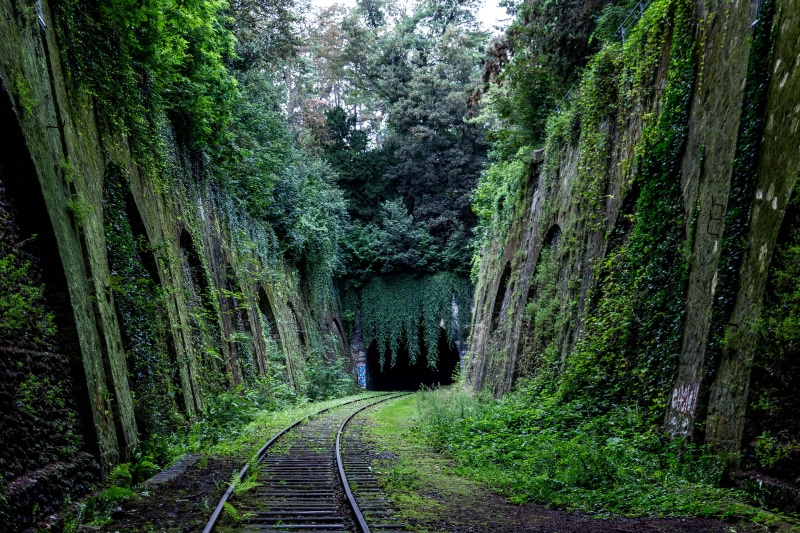 valley, outdoors, beauty in nature, growth, tree, plant, overgrown, grafiti, moss, land, tunnel, landscape, no people, rail, transportation, vine, track