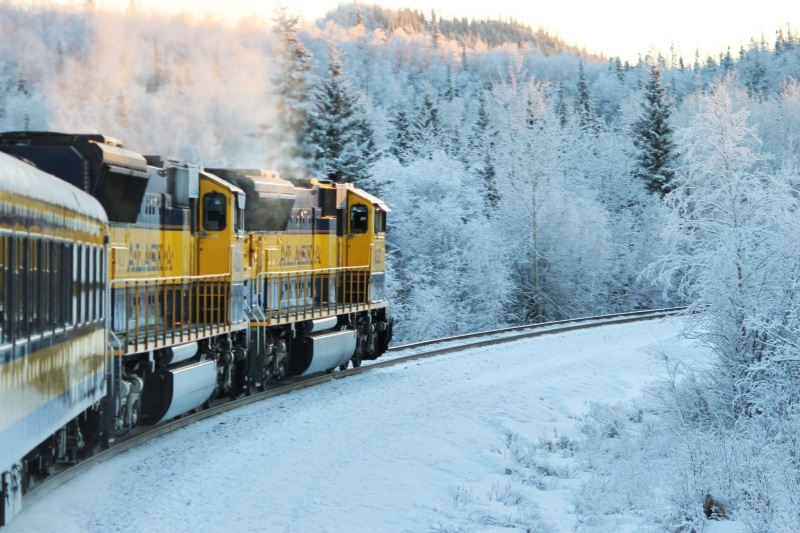 snowing, tree, motion, alaska, plant, cold temperature, mode of transportation, steam train, train, brown, railway, land vehicle, nature, yellow, outdoors