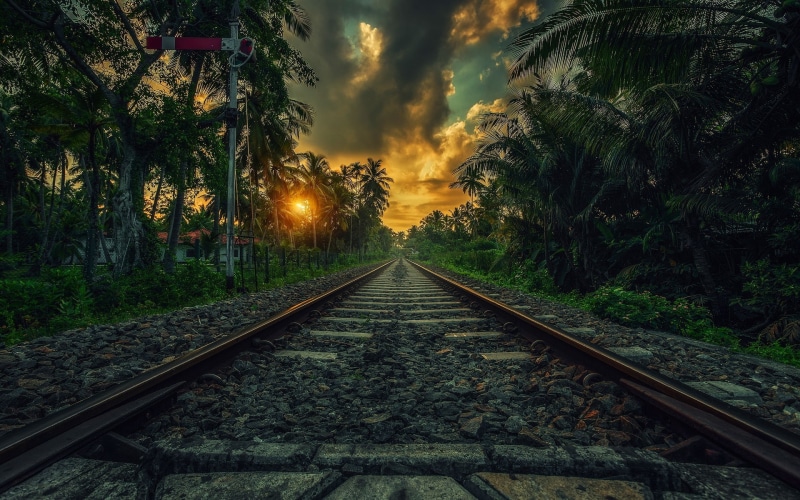 railway, landscape, Sri Lanka, clouds, sunset, shrubs, nature, tropical, palm trees, 1080P