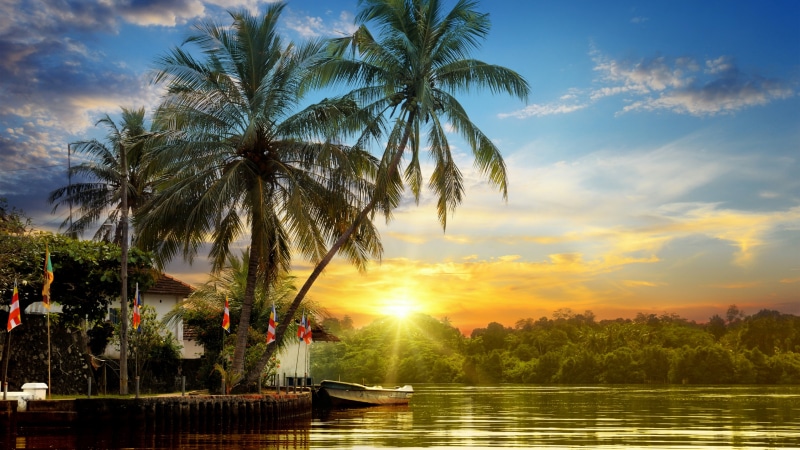 summertime, evening, tropics, summer sunset, sky, sri lanka, sunset, woody plant, 4K, water, tree, nature, lake, palm tree, summer