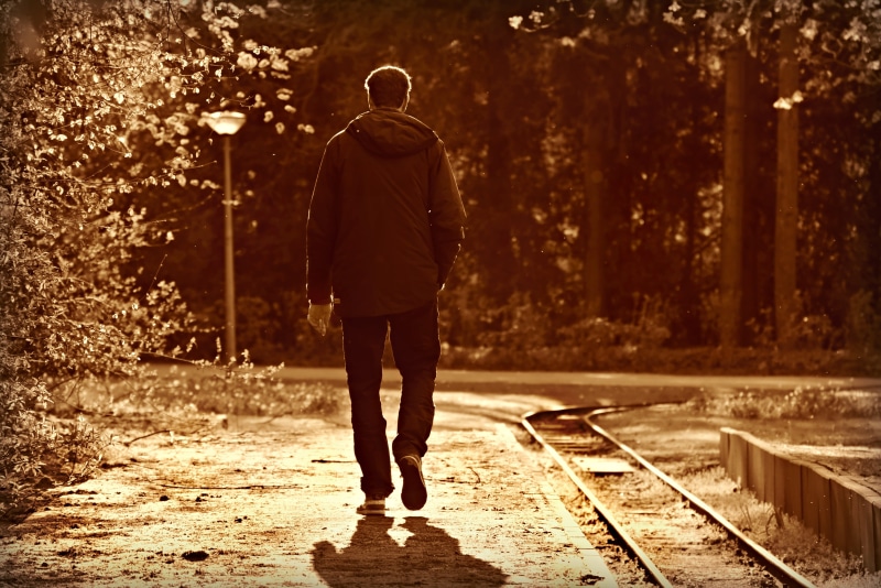 transportation, leisure activity, plant, casual clothing, track, standing, nature, sunlight, full length, male, rear view, tree, walking, one person, rail transportation