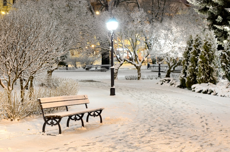 scenics, ice, landscape, outdoors, plant, night, tranquil Scene, street, Park, urban Scene, sidewalk, winter, autumn, central Park, bench, lights, snowing