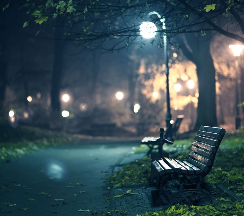 outdoors, tranquility, street, park bench, grass, park, empty, bench, plant, nature, focus on foreground, no people, night, illuminated, tree, lantern