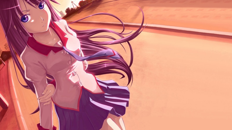 digital, clothing, copy space, haired, pink, female, sunlight, Monogatari Series, standing, anime girls, close-up, Senjougahara Hitagi, high angle view