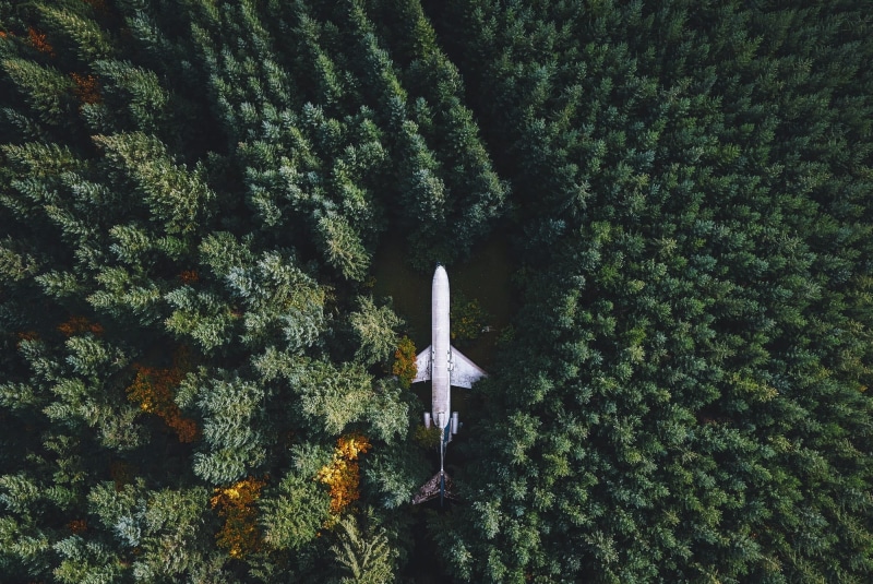 Oregon, plant, Hillsboro, drone, scenics - nature, forest, aerial view, air vehicle, tranquility, growth, day, green color, transportation, beauty in nature