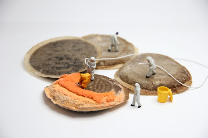 three objects, mold, security, food, antique, healthy eating, creative, wellbeing, still life, modelleisenbahn figure, work clothes, old, animal wildlife