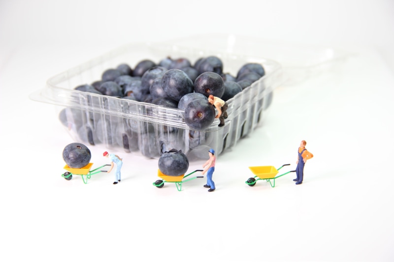 healthy eating, full length, wheelbarrow, figurine, white background, large group of objects, plastic, high angle view, art, mite, funny, berries, miniature figure