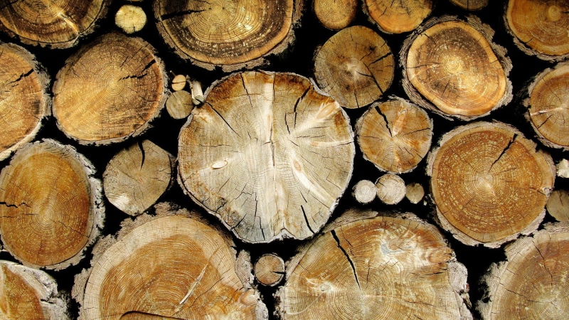 texture, timber, 1080P, closeup, wood, wooden surface