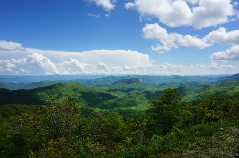 green color, united states, growth, asheville, blue ridge parkway, mountain, no people, nature, environment, outdoors, land, blue ridge mountains, forest