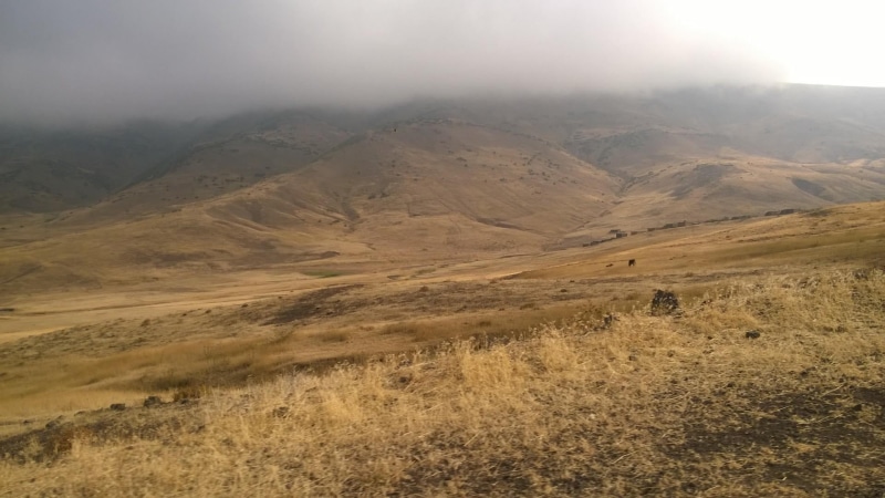 semi-arid, rolling landscape, 1080P, grassland, no people, ridge, tranquil scene, outdoors, travel, mountain range, steppe, grass, day, tranquility, scenics - nature