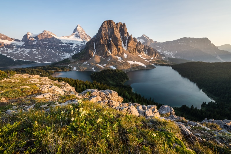 mountain Peak, Matterhorn, landscape, alps, massif, rock - Object, mountain, 1080P, Composition, wildflowers, scenics, landscape photography, photography