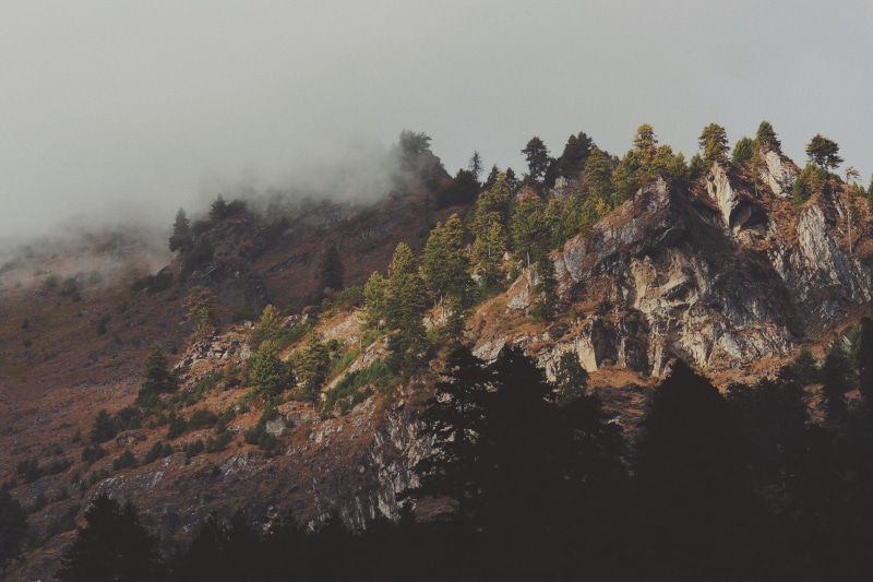 5K, pines, fog, scenics - nature, outdoors, tree, beauty in nature, tranquility, no people, view, day, sky, aesthetic, mountain range, nature, peak, mountain