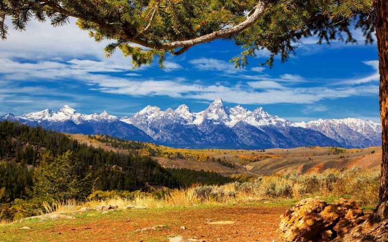 blue, land, tranquil scene, white, pine tree, plant, mountain, cloud - sky, day, snowcapped mountain, scenics - nature, beauty in nature, environment, clouds
