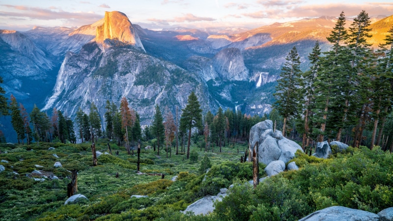 sky, forest, half dome, wilderness, landscape, mount scenery, tree, 4K, view point, national park, glacier point, tourist attraction, panorama, nature