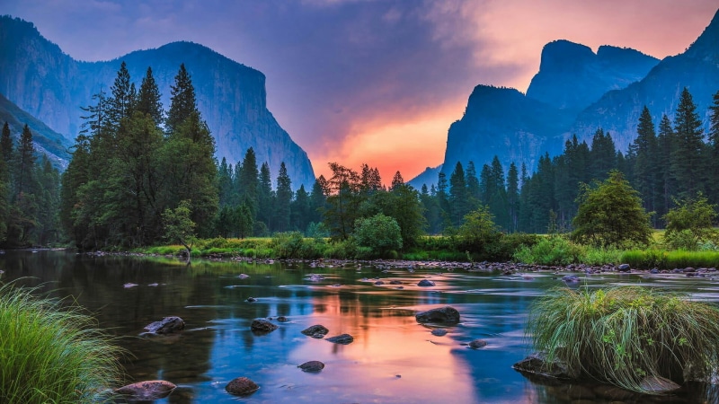 plant, nature, idyllic, tranquility, travel, merced river, mountainous landforms, wilderness, reflection, sunset, united states, tree, mount scenery, 1080P