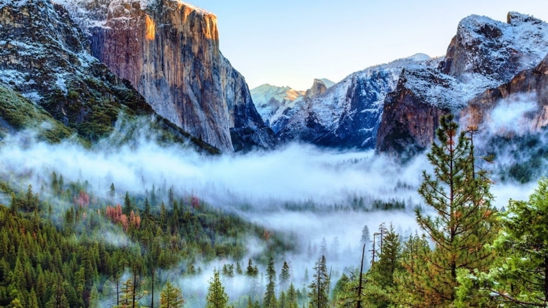 nature, wilderness, no people, day, plant, non-urban scene, mountain, forest, outdoors, nature reserve, tree, tranquil scene, idyllic, 1080P, mount scenery