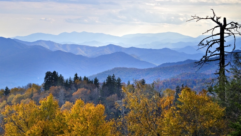 Smokies, Great Smoky Mountains National Park, photography, mountain, Distant, Desktop, Smoky Mountain, Newfound Gap, outdoors, Fall Color, Top, favorite