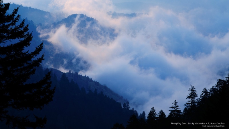 carolina, 2K, great, National Parks, rising, n, fog, mountains, p, north, smoky