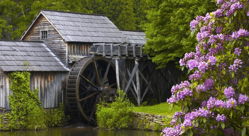 flower, watermill, water wheel, ridge, Virginia, wheel, Others, Blue, beauty in nature, building exterior, outdoors, built structure, flowering plant, 1080P