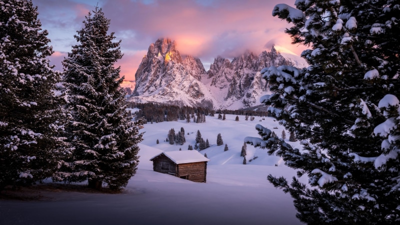 white color, cold temperature, extreme weather, land, tree, snow, plant, bolzano, winter, dolomites, puez odle nature park, tranquility, nature, alps, idyllic